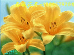 QQ场景 春暖花开