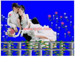 QQ场景 不要问我过的好不好