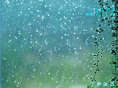 流行QQ场景 雨季