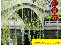 灞桥柳 QQ场景下载