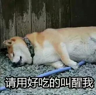 doge表情包卡通小版下载
