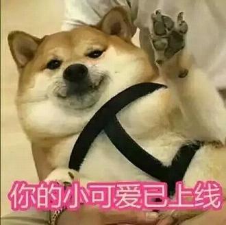 doge表情包卡通小版下载