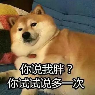 doge表情包卡通小版下载
