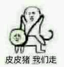 皮皮猪我们走表情包下载