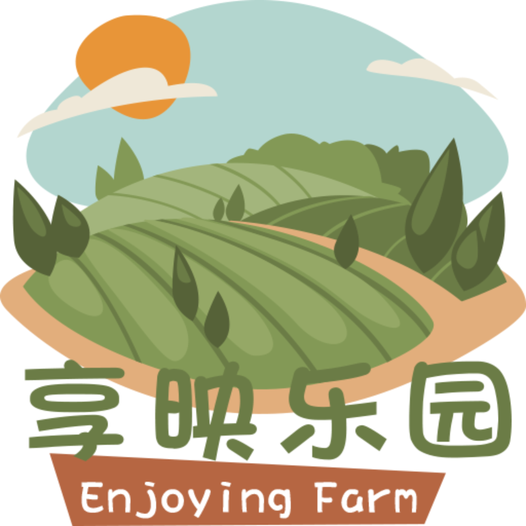 享映乐园电脑版下载