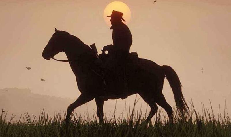 荒野大镖客2第二章全饰品武器存档