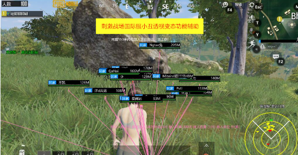 刺激战场冰痕国际服单板辅助