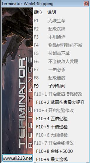 终结者抵抗十五项修改器