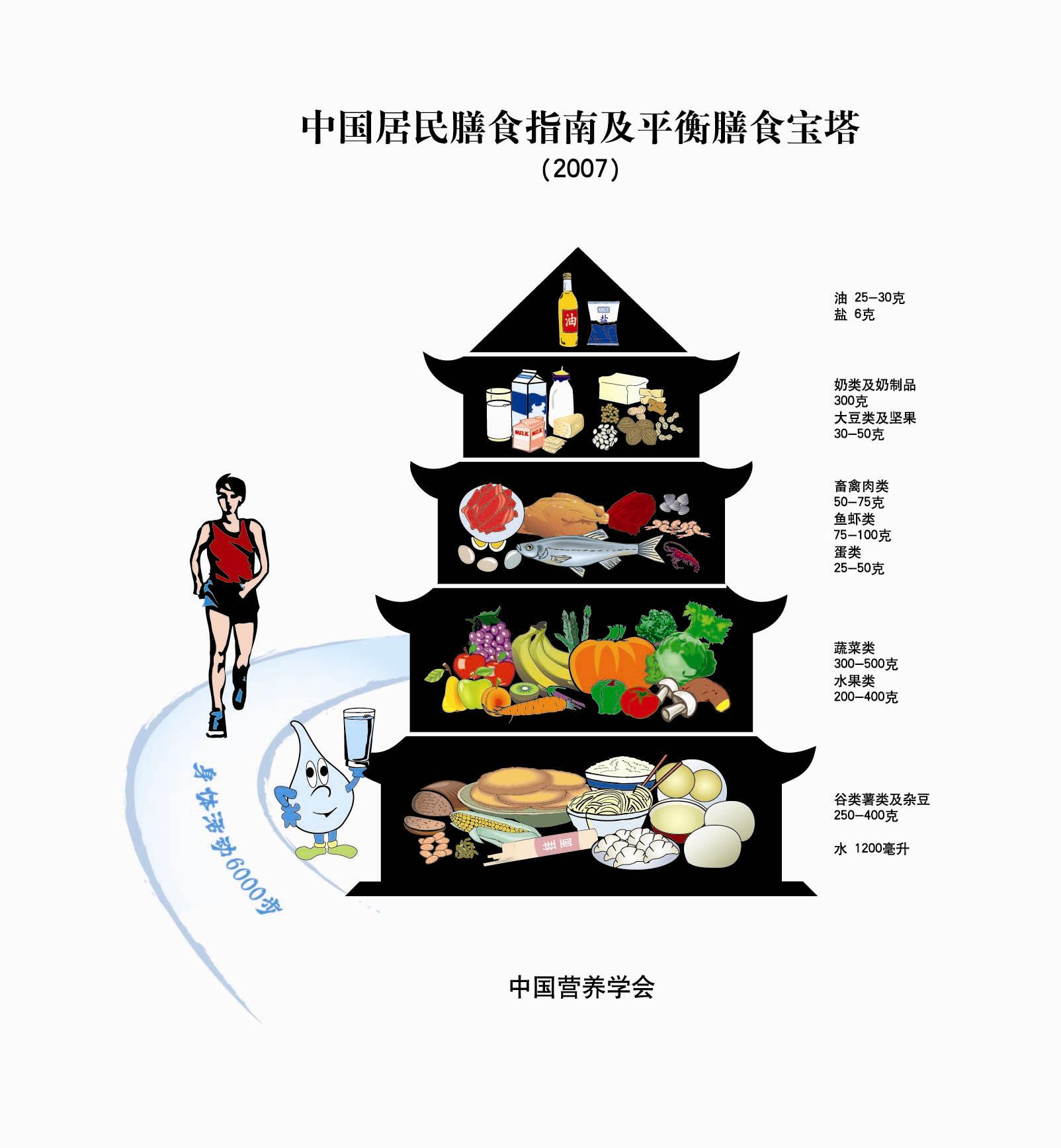 中国居民膳食指南2007电子版下载