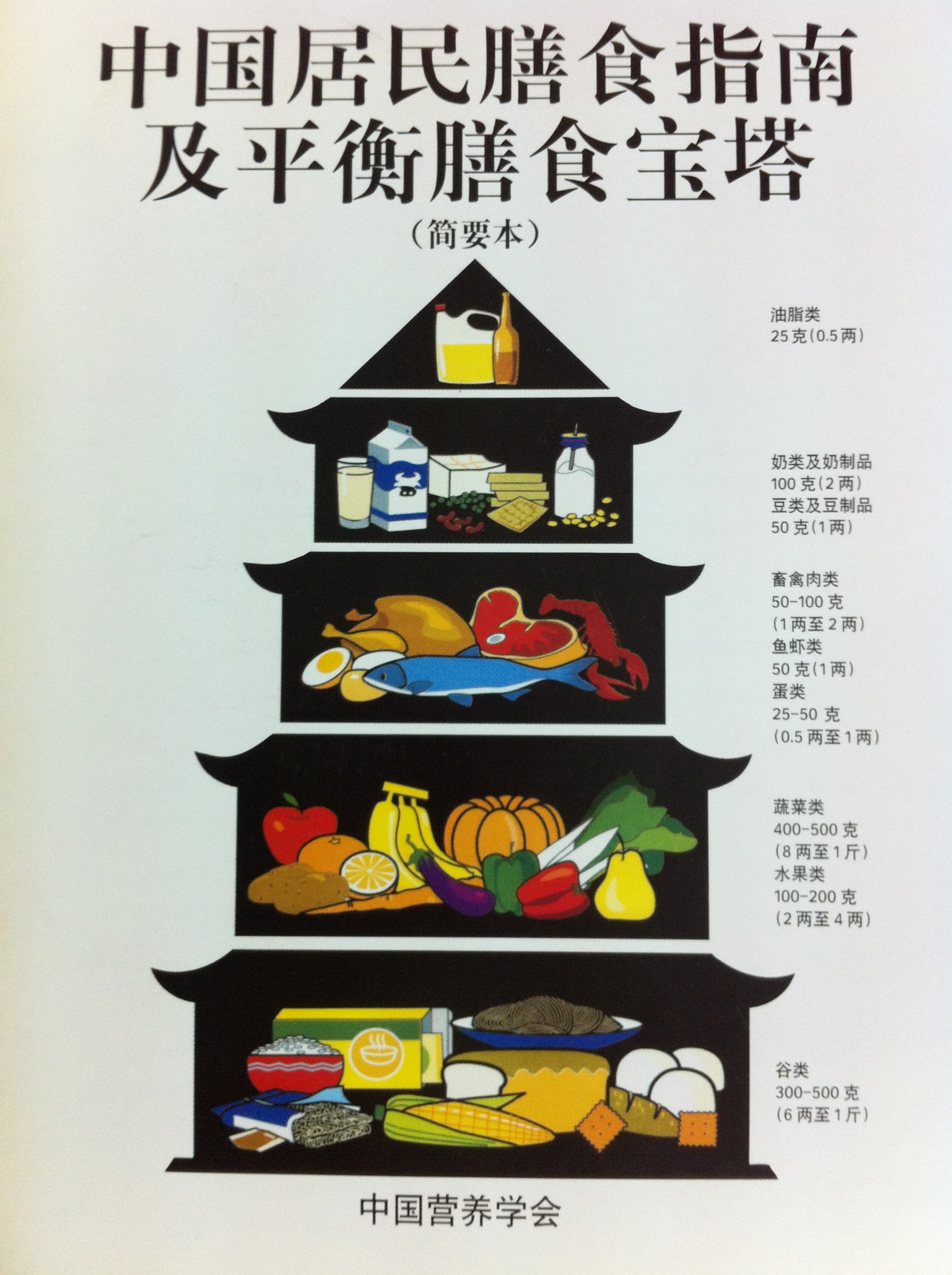 中国居民膳食指南1997电子版下载
