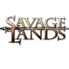 荒蛮大地十三项修改器