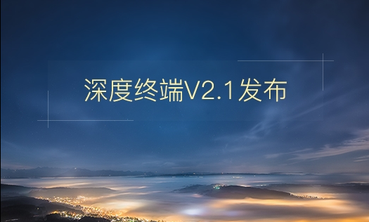 深度终端V2.1正式版下载