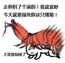 pdd皮皮虾我们走表情包完整版下载