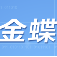 金蝶迷你版sp1完美注册版下载