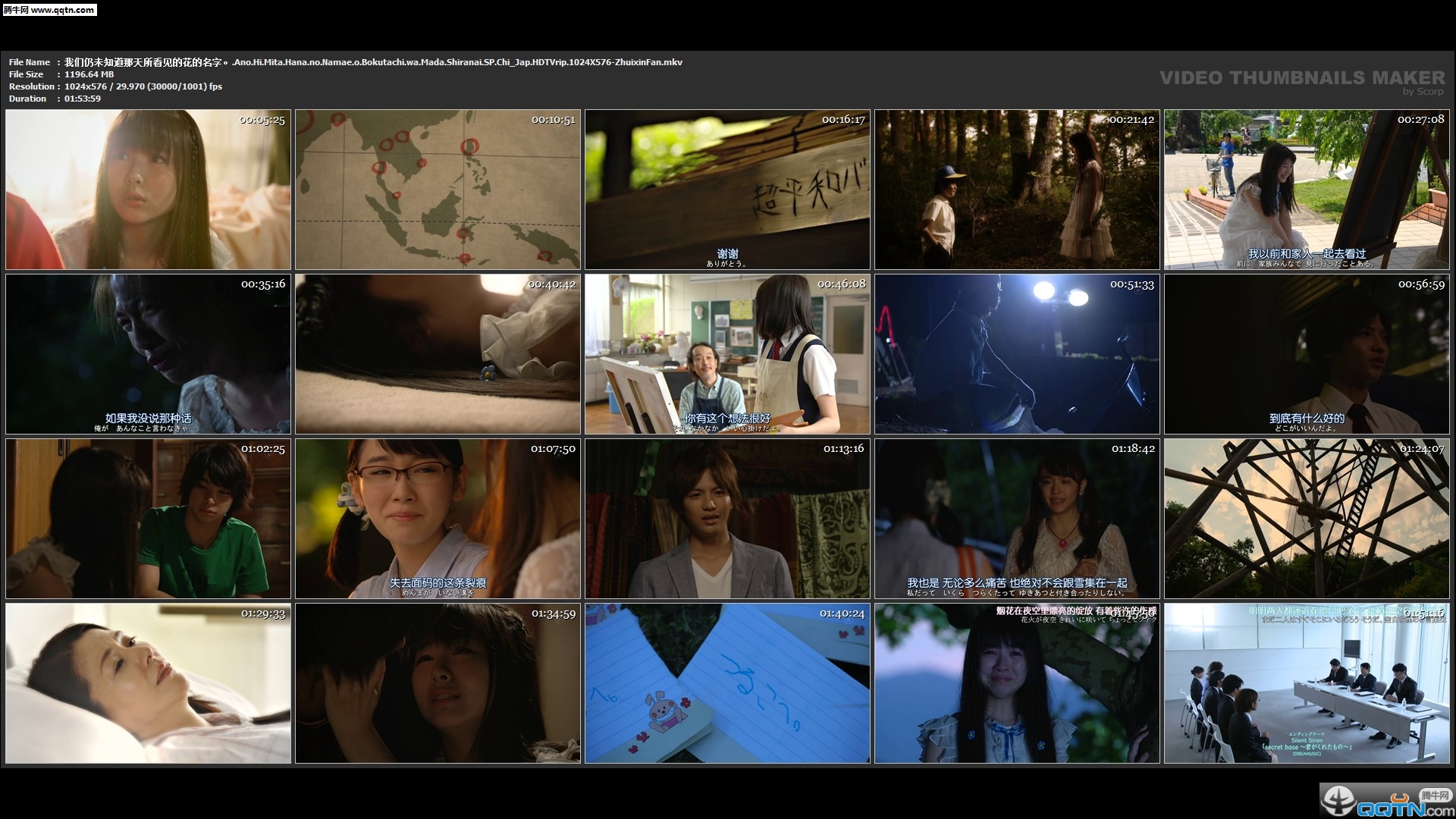 视频缩略图制作Video Thumbnails Maker Platinum