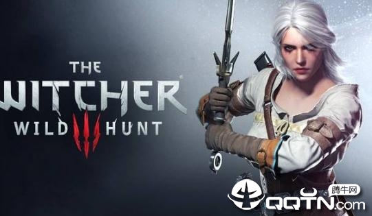 巫师3狂猎提升游戏帧数流畅度补丁 巫师3狂猎提升游戏帧数流畅度补丁